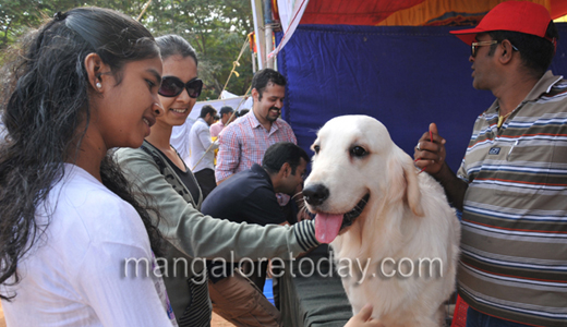 Dog show in Mangalore